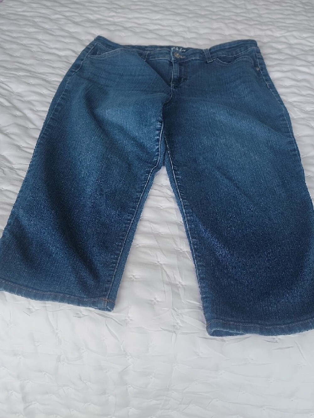 Style & Co. Women's Dark Blue Curvy Capris , Size 12 - Picture 2 of 7